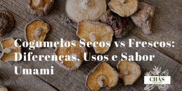 cogumelos secos ao lado de cogumelos frescos sobre superfície de madeira representando a diferença de textura sabor e usos culinários