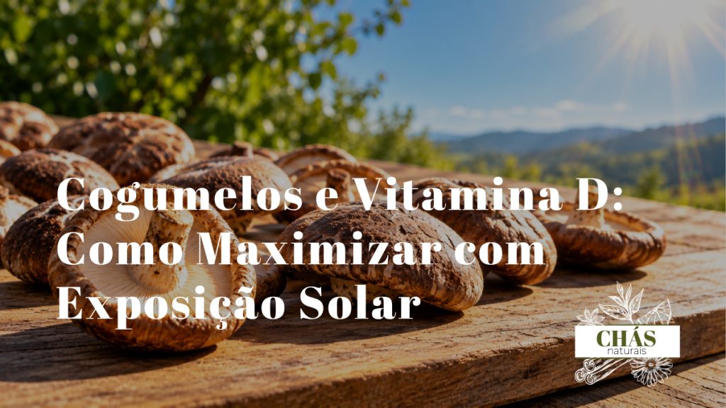 cogumelos shiitake dispostos ao sol sobre tábua de madeira com luz solar directa representando a produção de vitamina D2