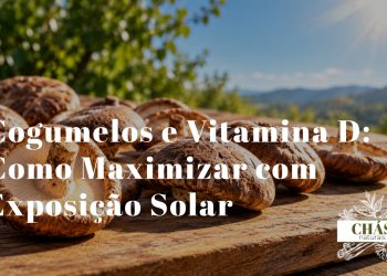 cogumelos shiitake dispostos ao sol sobre tábua de madeira com luz solar directa representando a produção de vitamina D2
