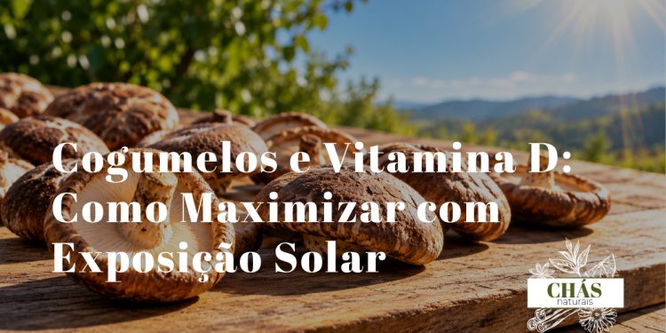 cogumelos shiitake dispostos ao sol sobre tábua de madeira com luz solar directa representando a produção de vitamina D2