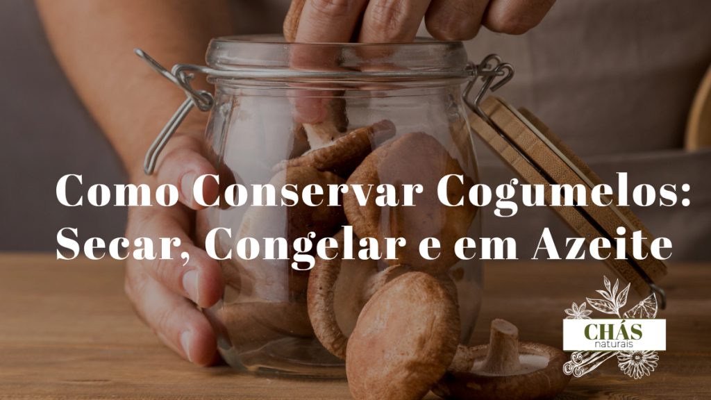 cogumelos a secar ao sol ao lado de frasco de cogumelos em azeite e saco de congelação sobre superfície de cozinha rústica