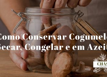 cogumelos a secar ao sol ao lado de frasco de cogumelos em azeite e saco de congelação sobre superfície de cozinha rústica