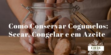 cogumelos a secar ao sol ao lado de frasco de cogumelos em azeite e saco de congelação sobre superfície de cozinha rústica
