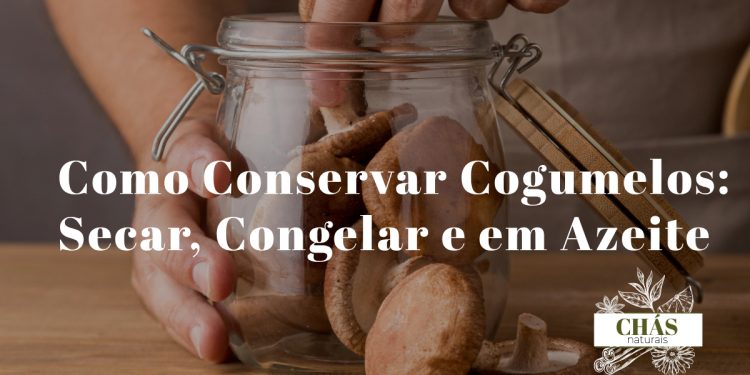 cogumelos a secar ao sol ao lado de frasco de cogumelos em azeite e saco de congelação sobre superfície de cozinha rústica