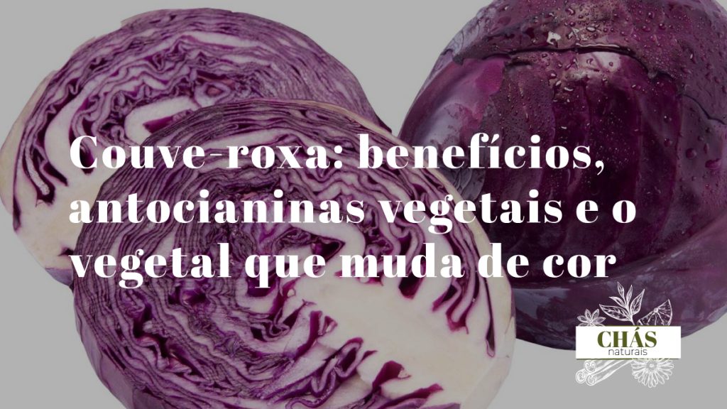 couve-roxa benefícios — couve roxa cortada mostrando cor vibrante rica em antocianinas