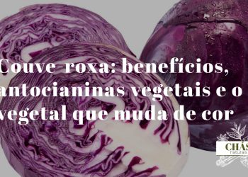 couve-roxa benefícios — couve roxa cortada mostrando cor vibrante rica em antocianinas