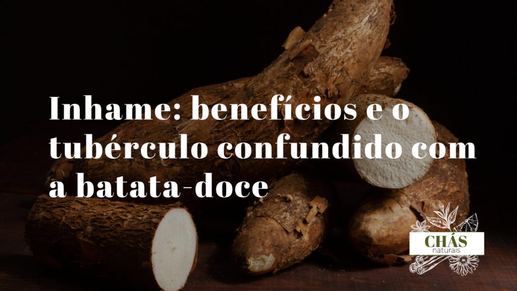 inhame benefícios — tubérculo de inhame Dioscorea cortado mostrando polpa
