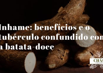 inhame benefícios — tubérculo de inhame Dioscorea cortado mostrando polpa