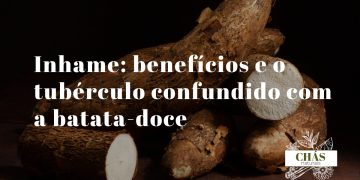 inhame benefícios — tubérculo de inhame Dioscorea cortado mostrando polpa