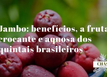 jambo benefícios — jambos rosados Syzygium frescos com textura crocante