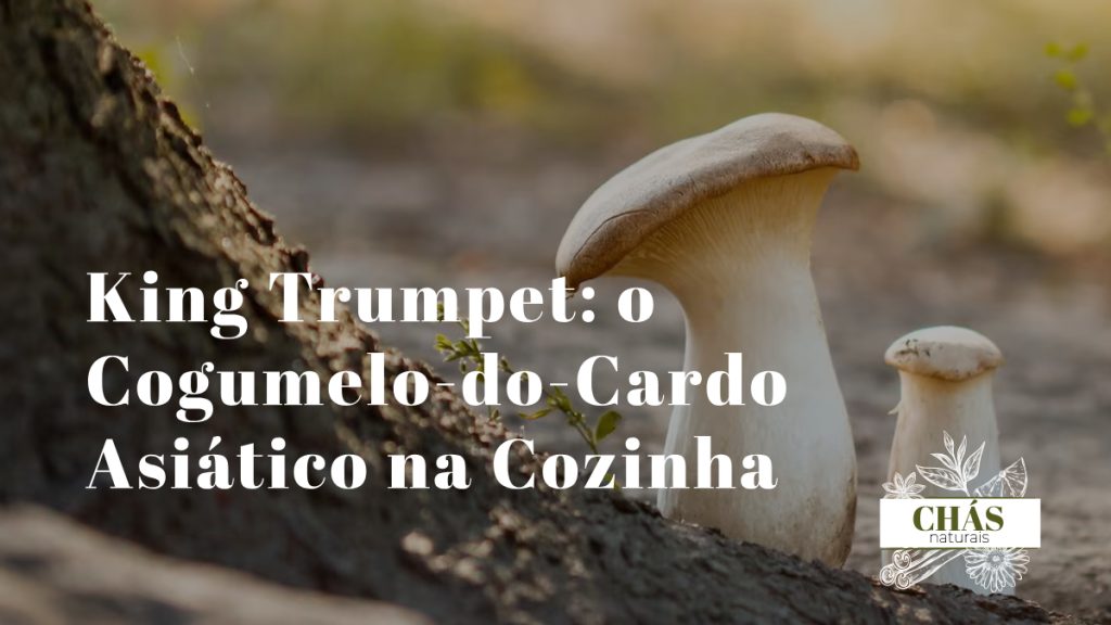 king trumpet Pleurotus eryngii em rodelas grossas a saltear em frigideira de ferro fundido com marcas de grelha douradas