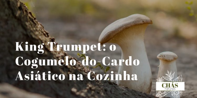 king trumpet Pleurotus eryngii em rodelas grossas a saltear em frigideira de ferro fundido com marcas de grelha douradas