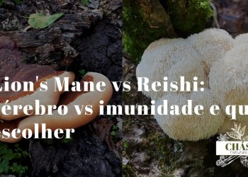 lion's mane branco pompom com espinhos ao lado de reishi vermelho lacado sobre superfície de madeira rústica
