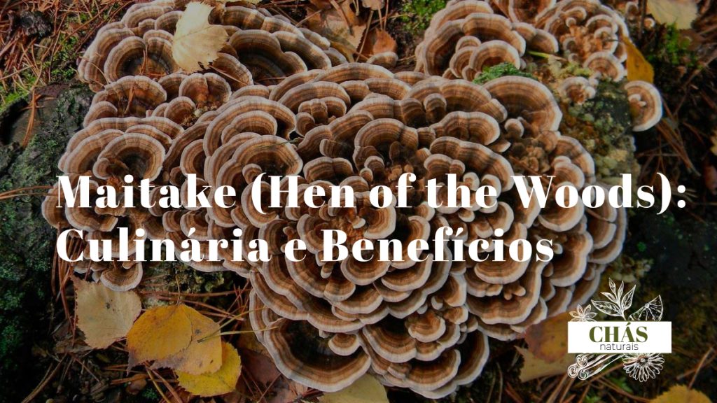 maitake Grifola frondosa fresco com textura em pétalas sobrepostas sobre tábua de madeira com azeite e alho representando culinária mediterrânica