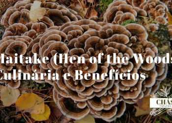 maitake Grifola frondosa fresco com textura em pétalas sobrepostas sobre tábua de madeira com azeite e alho representando culinária mediterrânica