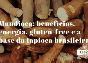 mandioca benefícios — raiz de mandioca Manihot esculenta descascada e tapioca