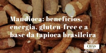 mandioca benefícios — raiz de mandioca Manihot esculenta descascada e tapioca
