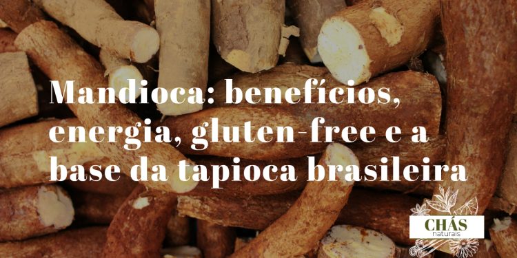 mandioca benefícios — raiz de mandioca Manihot esculenta descascada e tapioca