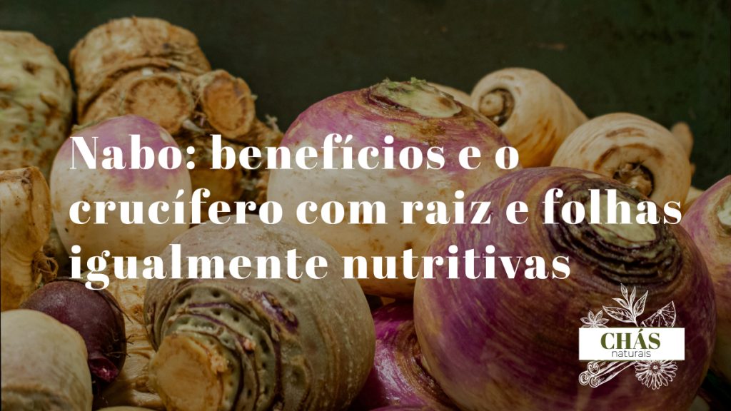 nabo benefícios — nabos brancos e roxos com folhas verdes Brassica rapa