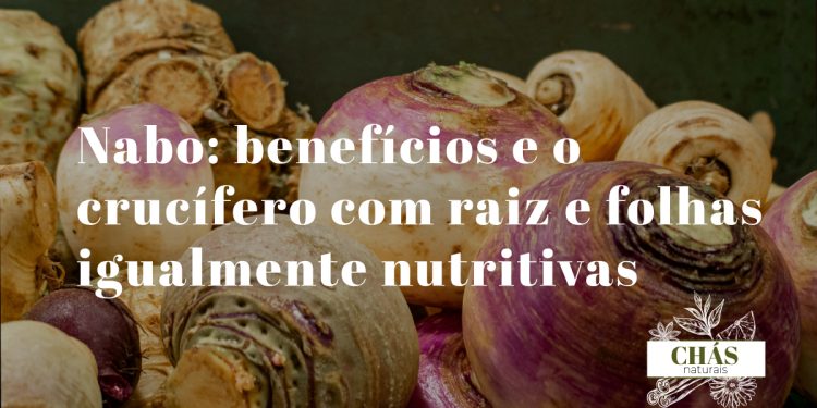 nabo benefícios — nabos brancos e roxos com folhas verdes Brassica rapa