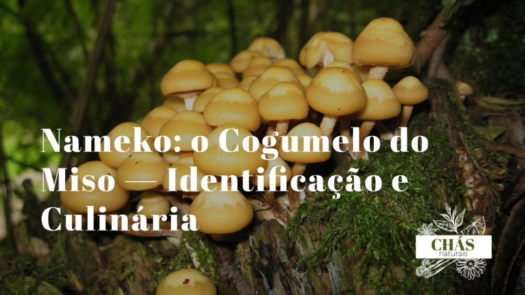 cogumelos nameko Pholiota nameko brilhantes e viscosos numa tigela de sopa miso japonesa com tofu e cebolinho sobre superfície de madeira