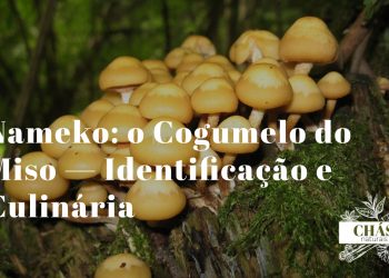 cogumelos nameko Pholiota nameko brilhantes e viscosos numa tigela de sopa miso japonesa com tofu e cebolinho sobre superfície de madeira
