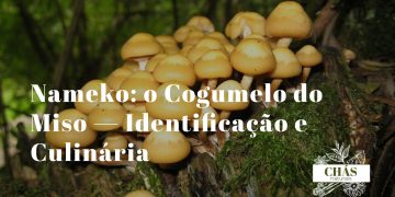 cogumelos nameko Pholiota nameko brilhantes e viscosos numa tigela de sopa miso japonesa com tofu e cebolinho sobre superfície de madeira