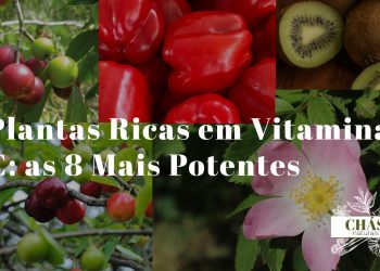 variedade de frutas e plantas ricas em vitamina C acerola camu-camu rosa mosqueta e pimento vermelho dispostas sobre fundo de madeira clara