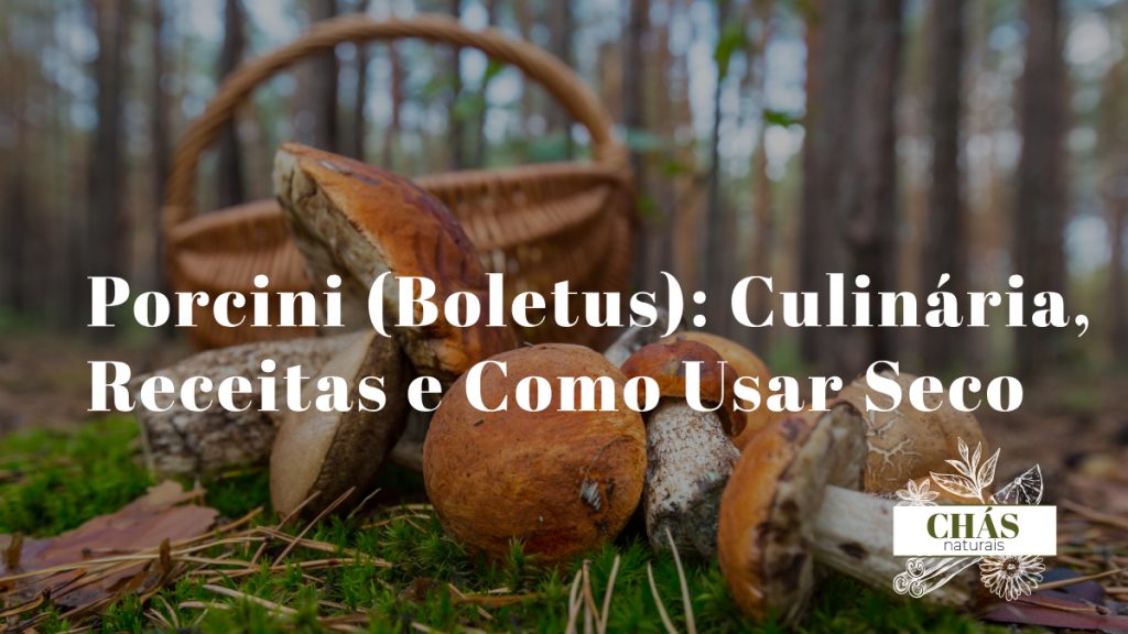 boletus porcini secos inteiros e em pó ao lado de cogumelos frescos sobre superfície de madeira rústica com colher de madeira