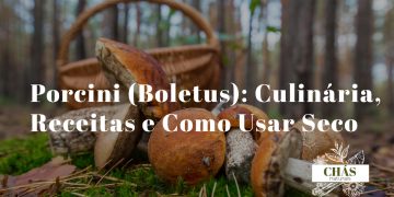 boletus porcini secos inteiros e em pó ao lado de cogumelos frescos sobre superfície de madeira rústica com colher de madeira