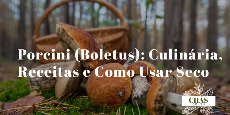 boletus porcini secos inteiros e em pó ao lado de cogumelos frescos sobre superfície de madeira rústica com colher de madeira