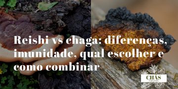 reishi vs chaga — cogumelo reishi vermelho lacado ao lado de pedaço de chaga preto irregular sobre superfície de madeira