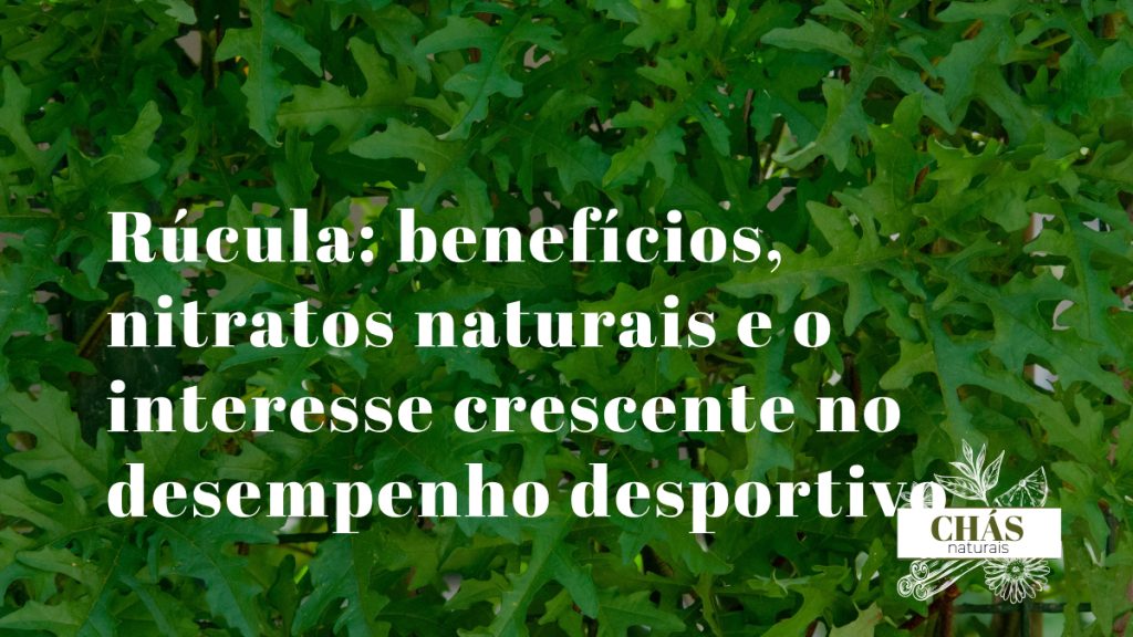 rúcula benefícios — folhas verdes de rúcula Eruca sativa frescas em salada