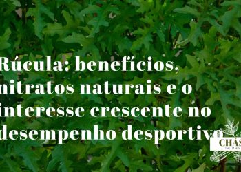 rúcula benefícios — folhas verdes de rúcula Eruca sativa frescas em salada