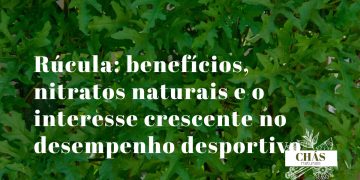 rúcula benefícios — folhas verdes de rúcula Eruca sativa frescas em salada