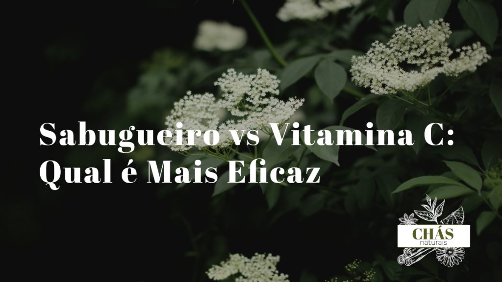 bagas pretas de sabugueiro Sambucus nigra numa tigela ao lado de laranjas e comprimidos de vitamina C sobre mesa de madeira clara