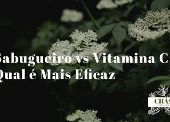 bagas pretas de sabugueiro Sambucus nigra numa tigela ao lado de laranjas e comprimidos de vitamina C sobre mesa de madeira clara