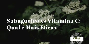 bagas pretas de sabugueiro Sambucus nigra numa tigela ao lado de laranjas e comprimidos de vitamina C sobre mesa de madeira clara