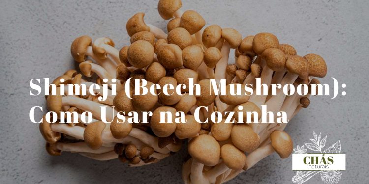 shimeji castanho e branco Hypsizygus tessellatus em dois grupos lado a lado sobre tábua de madeira com pauzinhos e ingredientes asiáticos