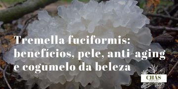 tremella fuciformis cogumelo-de-neve branco gelatinoso com aspeto de floco de neve sobre fundo escuro