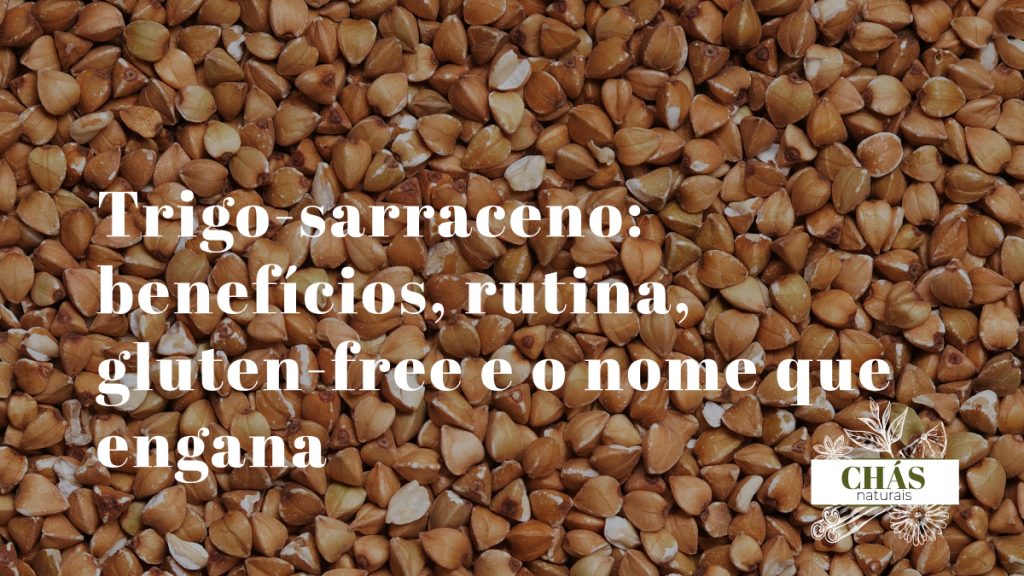 trigo-sarraceno benefícios — sementes triangulares Fagopyrum esculentum ricas em rutina