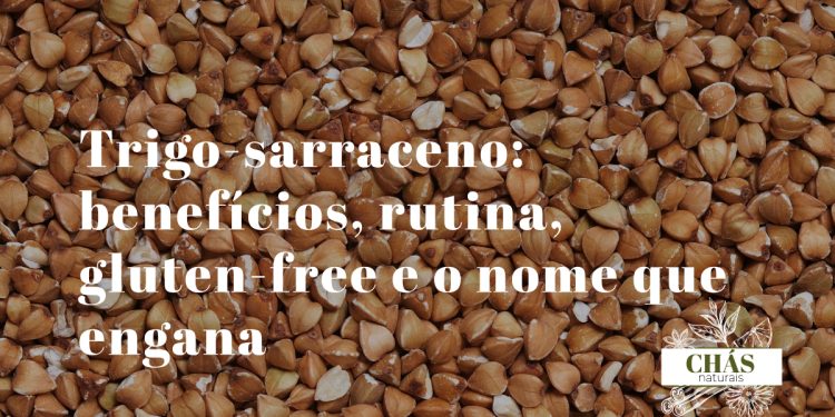 trigo-sarraceno benefícios — sementes triangulares Fagopyrum esculentum ricas em rutina