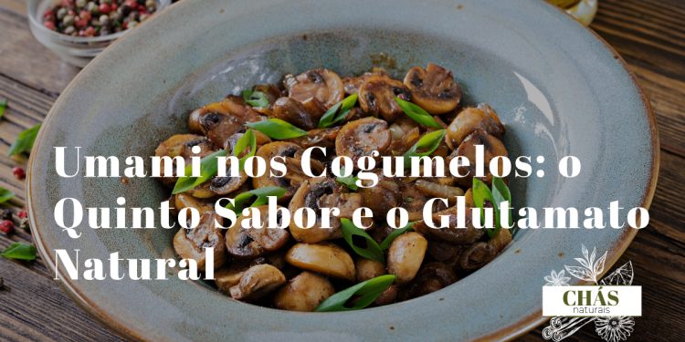 cogumelos shiitake e porcini a saltear com concentração de sabor umami representada por vapor intenso sobre frigideira de ferro fundido